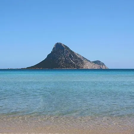 Lu Nibareddu, Loiri Monte Petrosu